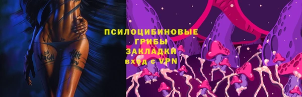 индика Медногорск