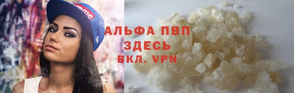 индика Медногорск