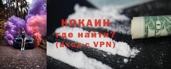 индика Медногорск