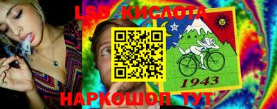 прущие крисы Новозыбков