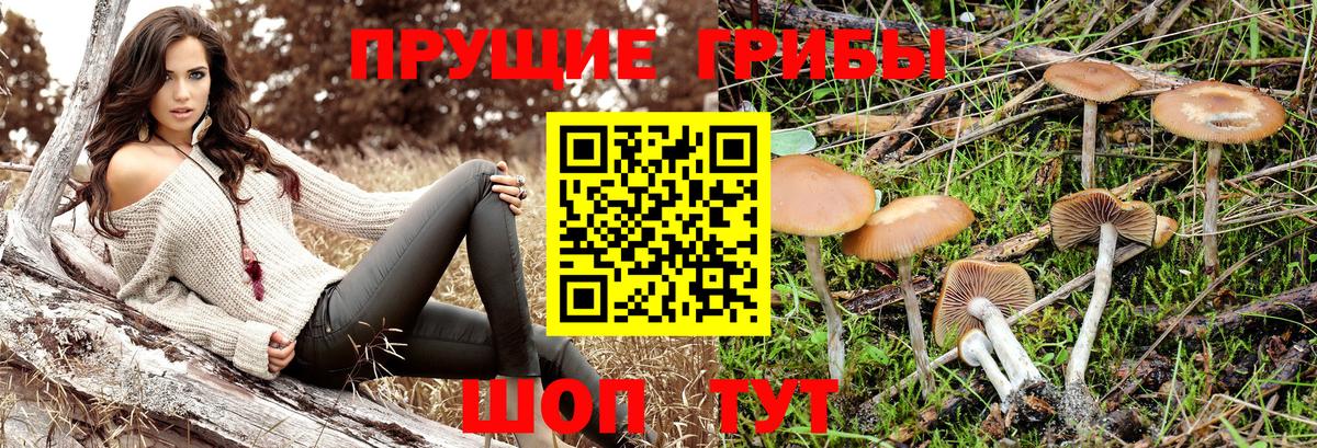 Галлюциногенные грибы мухоморы  Тутаев 