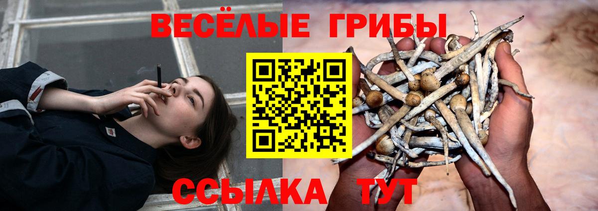 Меф мяу мяу Тутаев