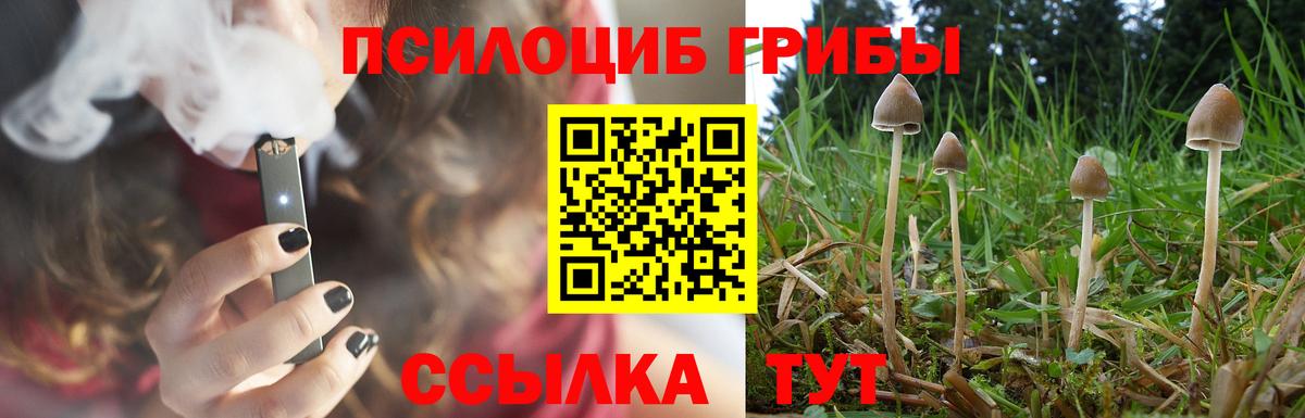 Меф Тутаев