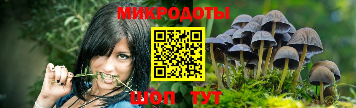 Галлюциногенные грибы ЛСД Тутаев